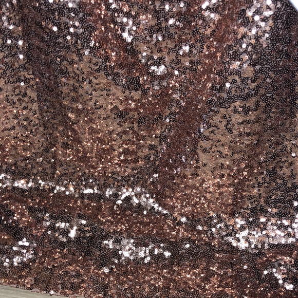 Beautiful Rose glitter dress zipper on back - Picture 3 of 4